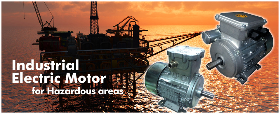Indutrial electric motor for hazardous areas